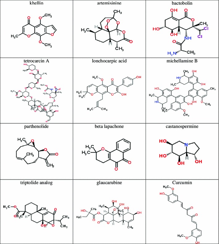 Fig. 1