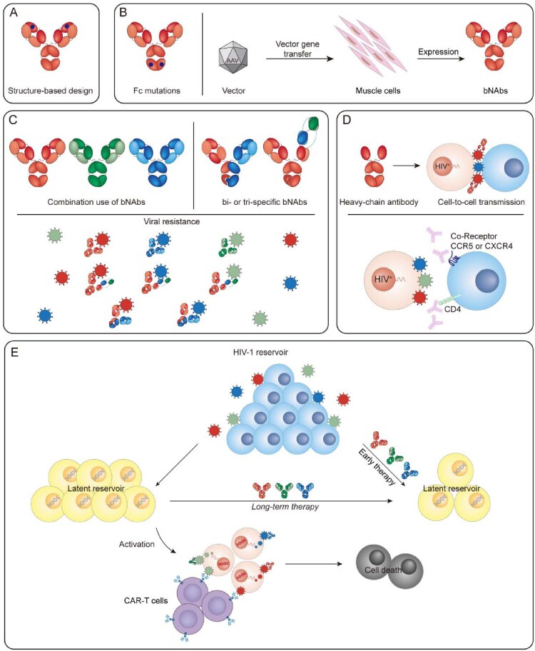 Figure 2.