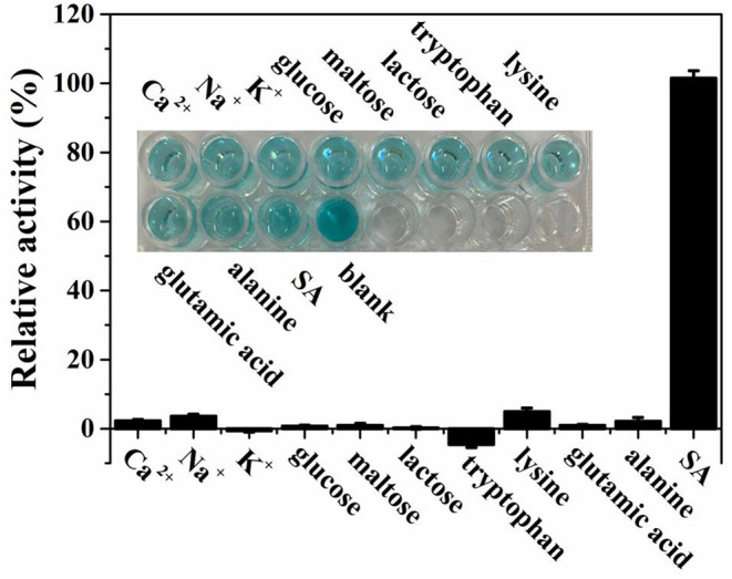 Figure 7