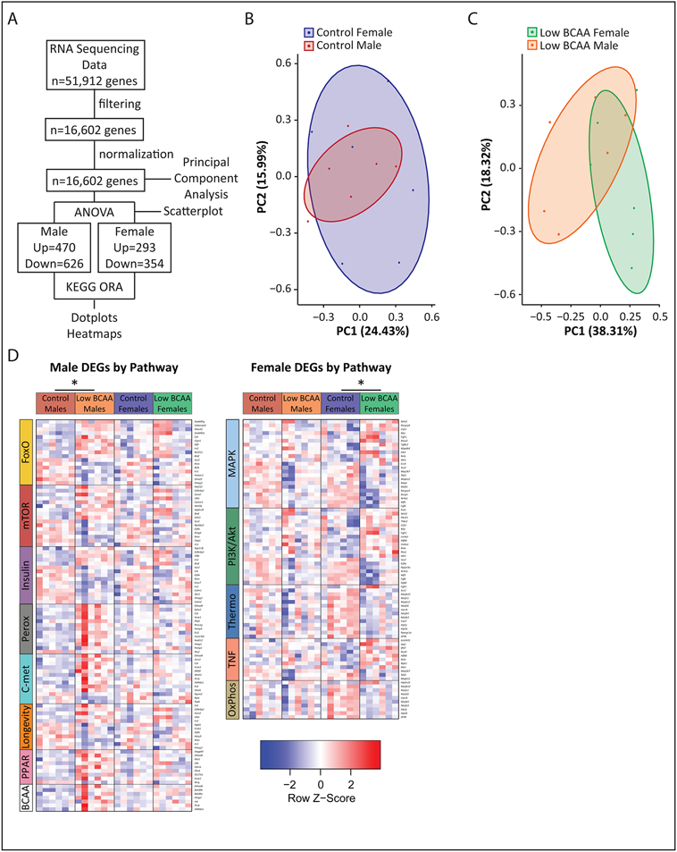 Extended Data Fig. 4