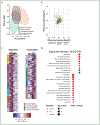 Figure 6: