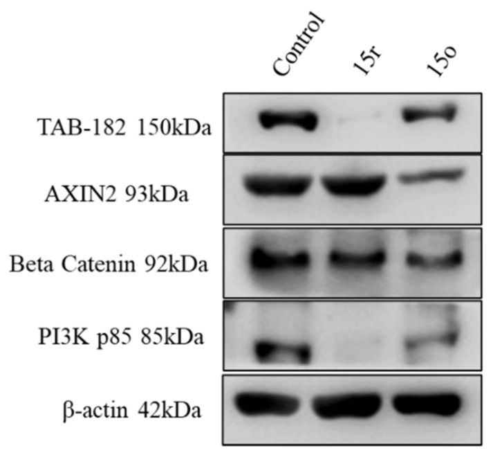 Figure 9