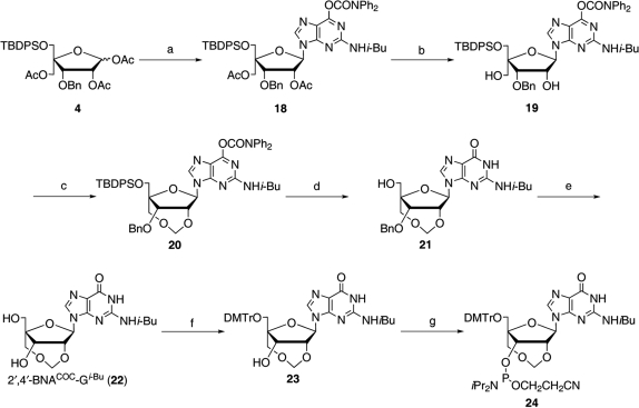 Scheme 5.