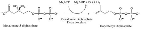 graphic file with name nihms251582u3.jpg