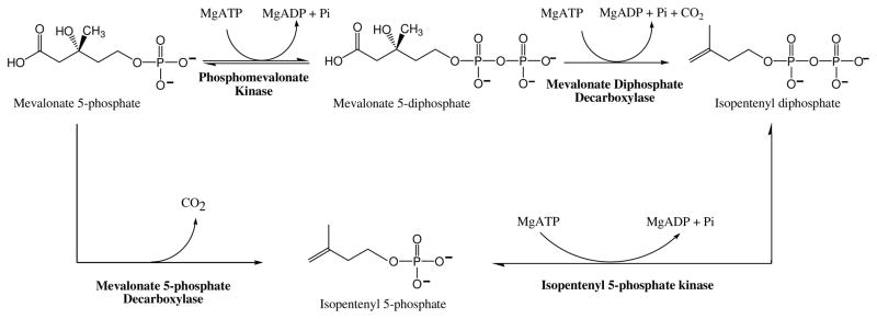 Scheme 6