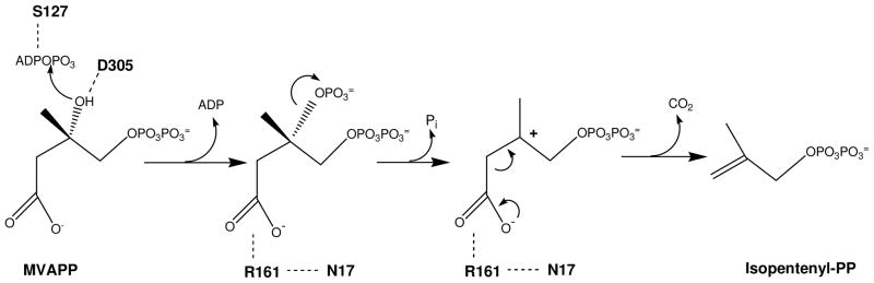 Scheme 5