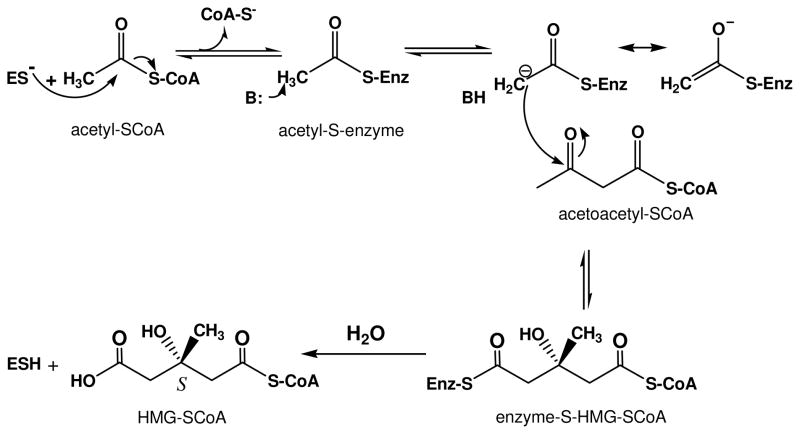 Scheme 3