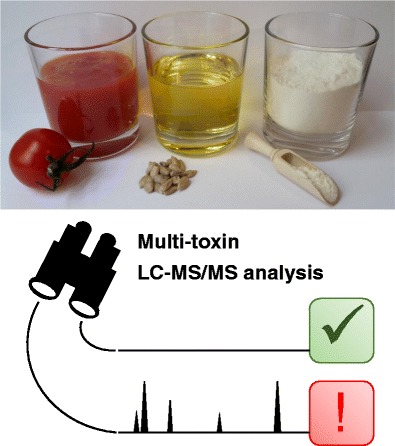 Graphical abstract