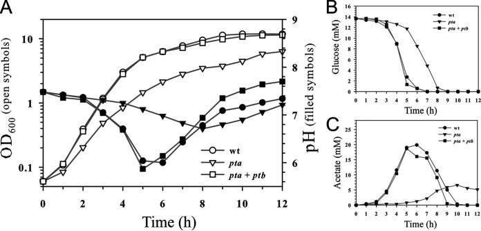 FIG 4