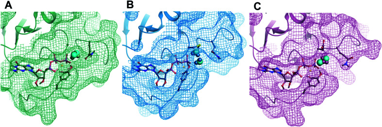 Fig. 7