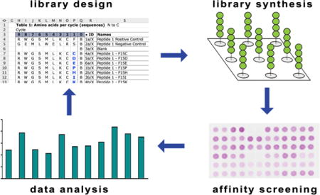 graphic file with name nihms880390u1.jpg