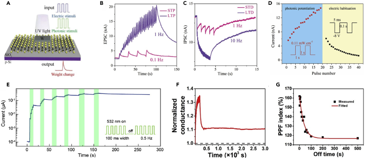 Figure 7