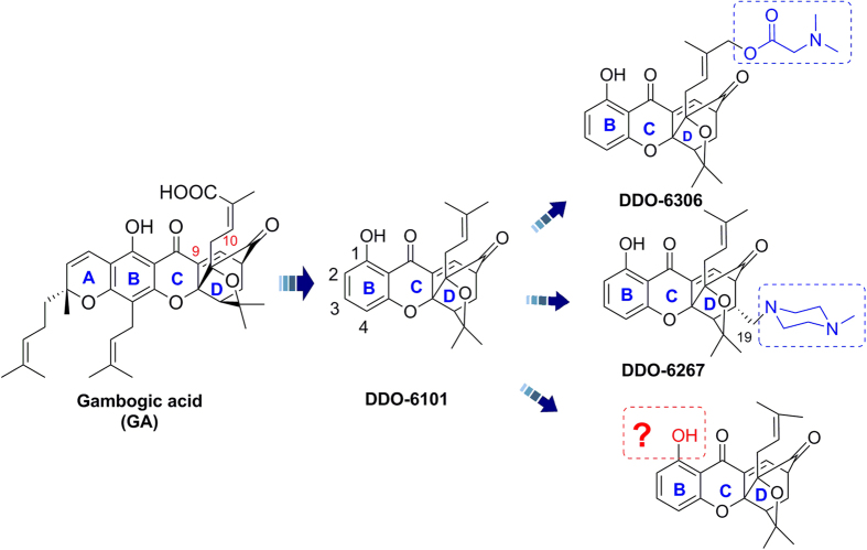 Figure 1