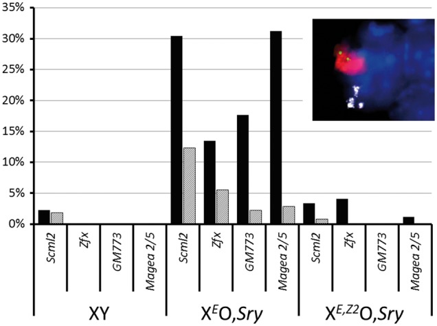 Figure 4.