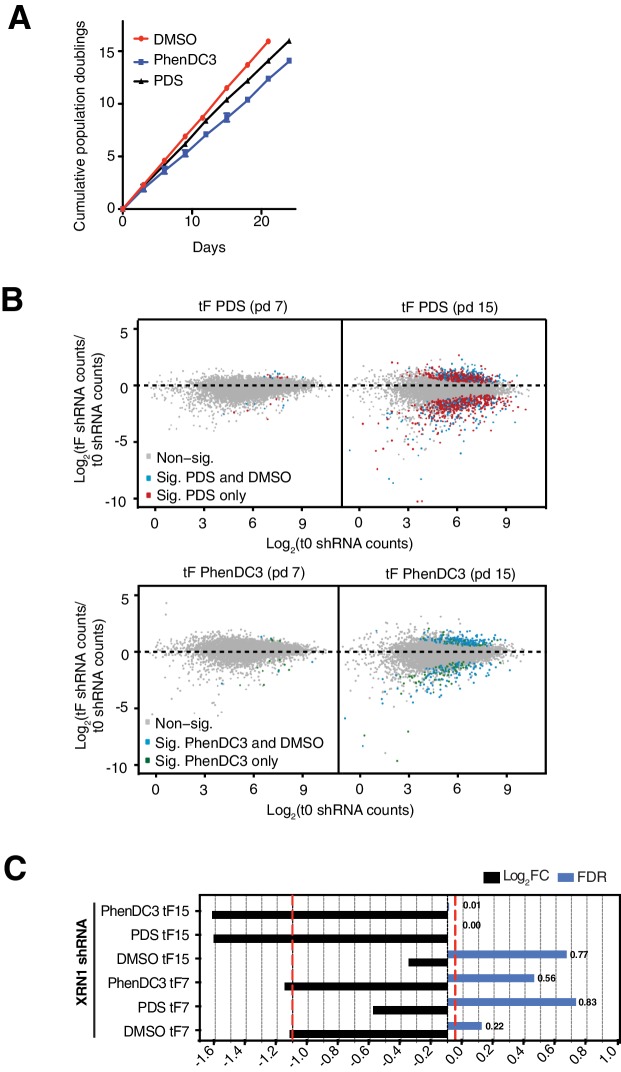 Figure 2—figure supplement 1.