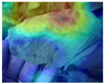 graphic file with name jimaging-09-00053-i035.jpg