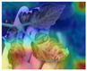 graphic file with name jimaging-09-00053-i033.jpg