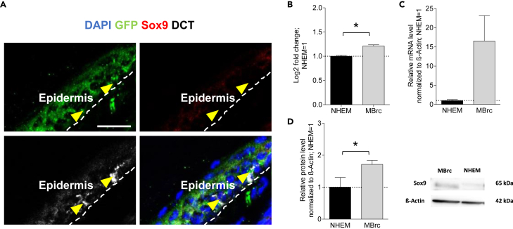 Figure 3