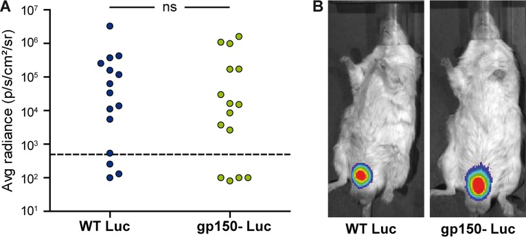 FIG 5