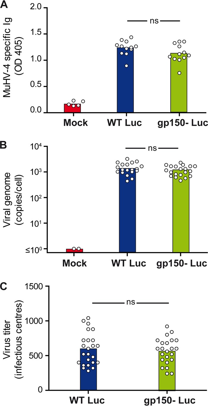 FIG 3