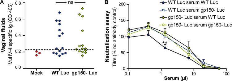 FIG 6