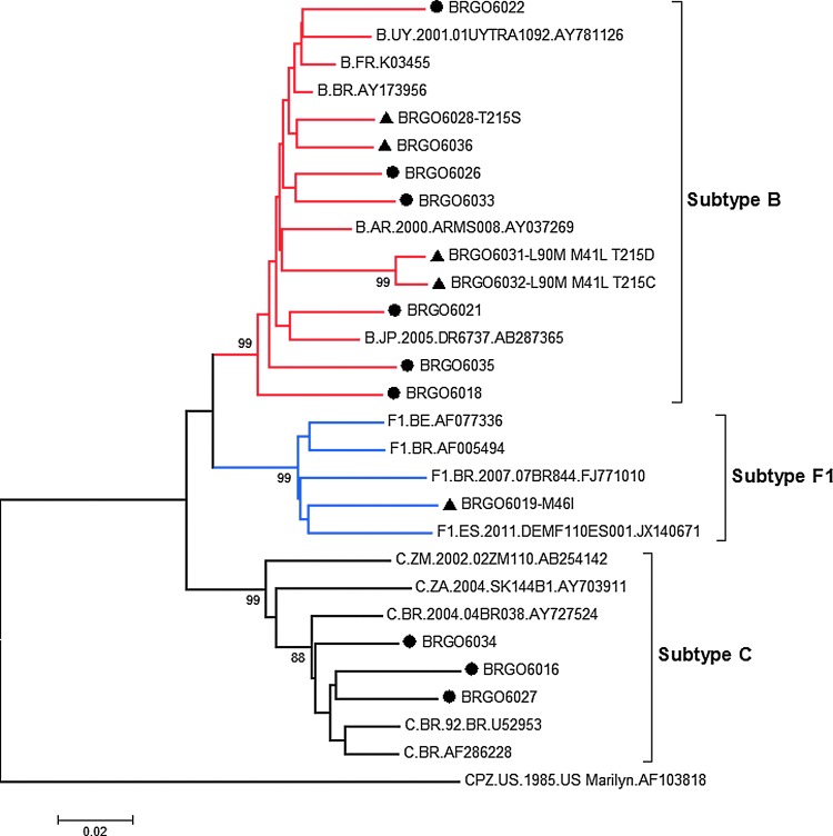 FIG. 1.