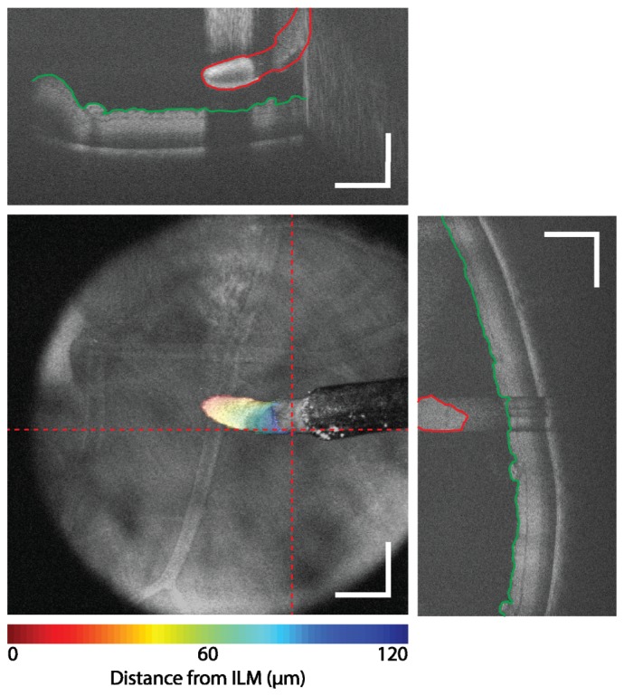 Fig. 4