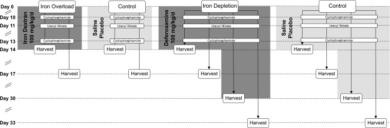 FIG 1