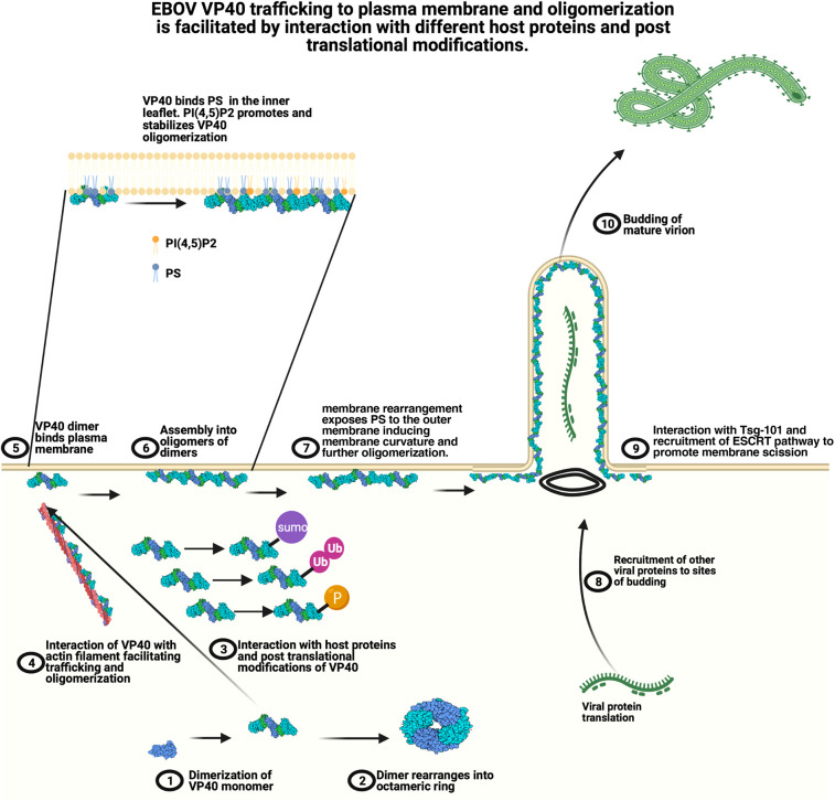 Figure 1.