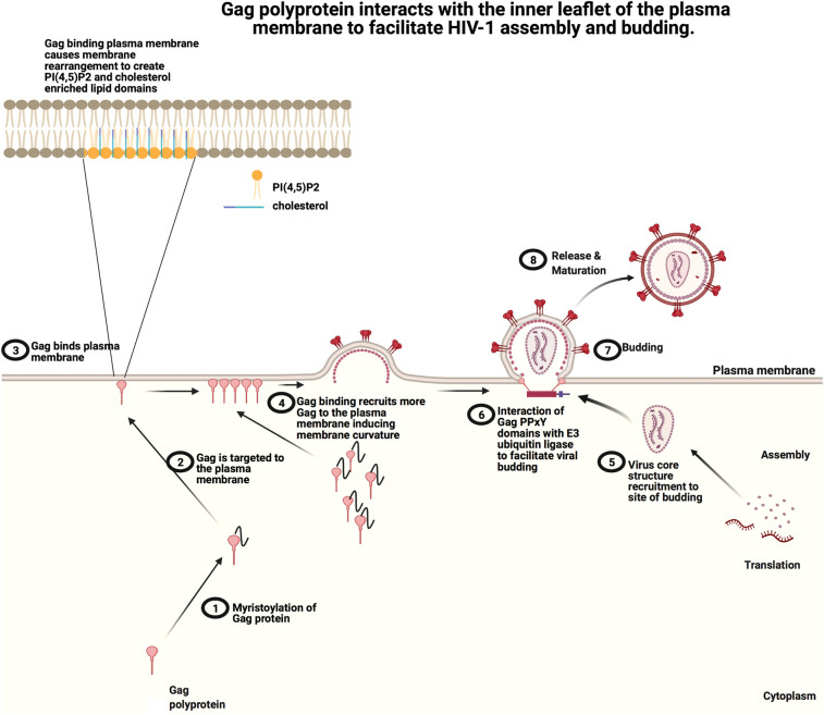 Figure 2.