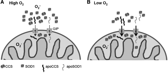 FIG. 4.