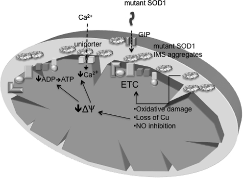 FIG. 5.