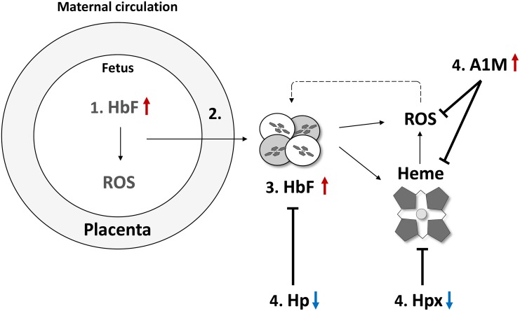 Fig 5