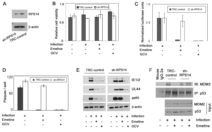 Fig 10