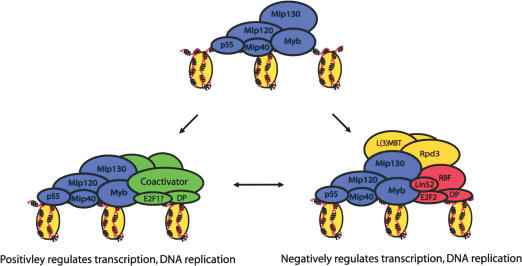 Figure 7.