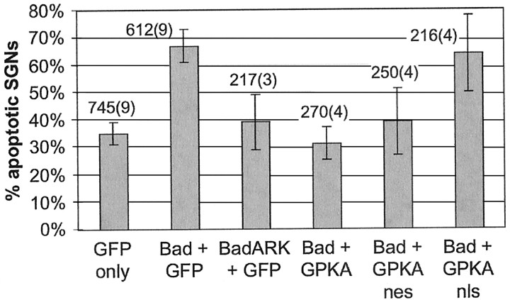 Fig. 9.