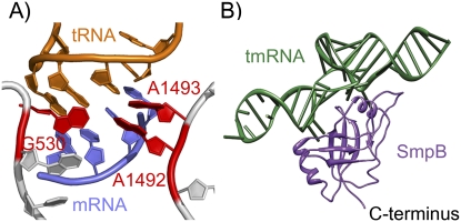 FIGURE 1.