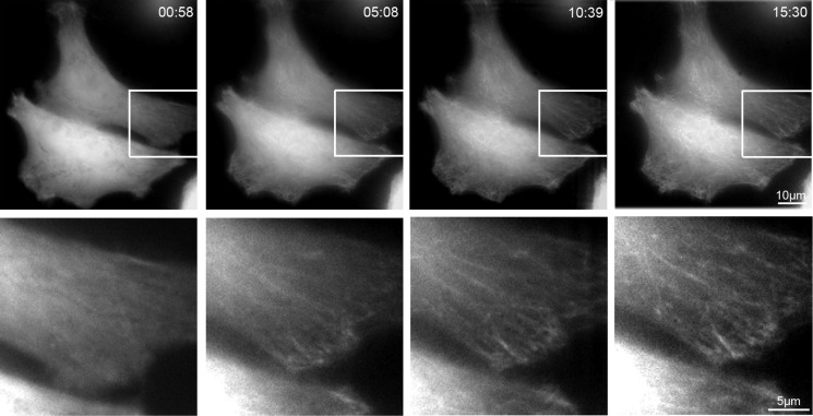 FIGURE 3.