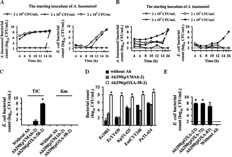 FIG 1