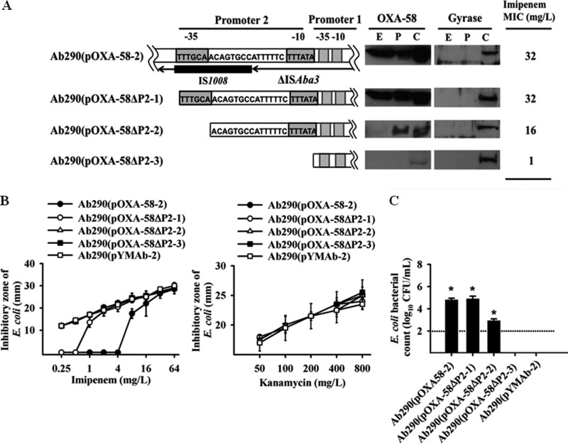 FIG 2