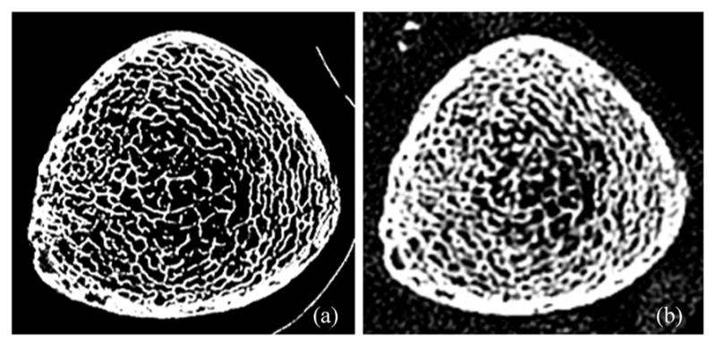 Fig. 10