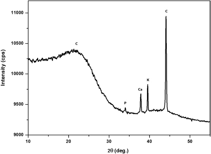 Figure 4