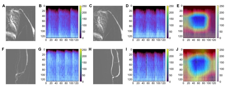 Figure 5: