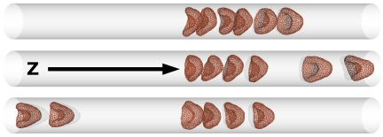 Fig. 5.