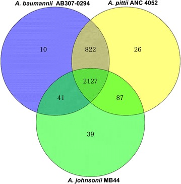 Fig. 4