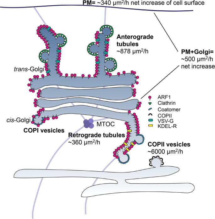 FIGURE 8: