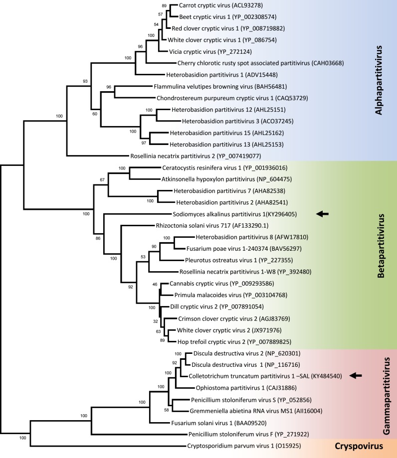 Fig 11