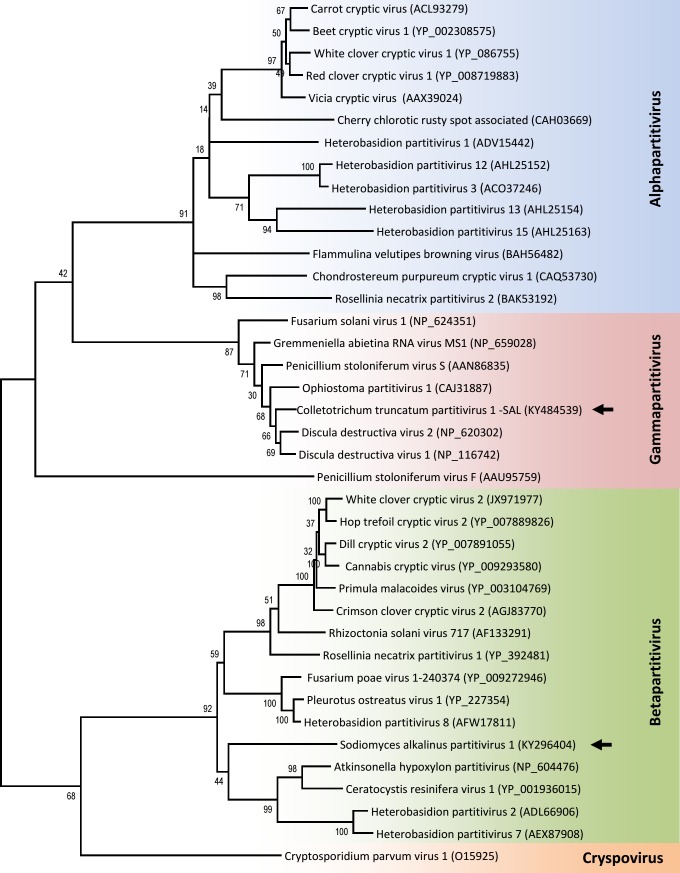 Fig 10