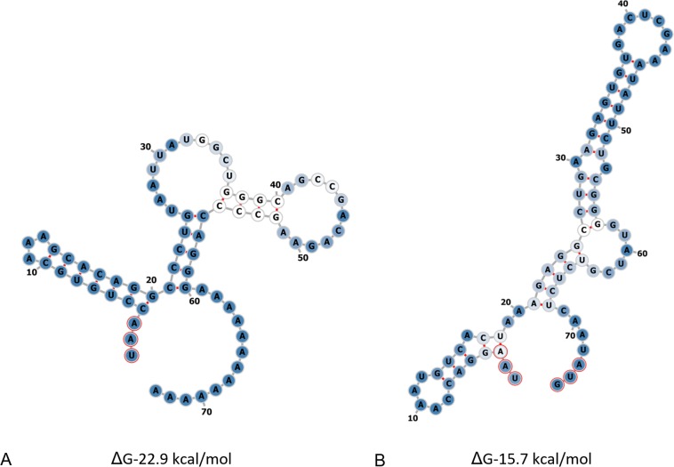 Fig 9