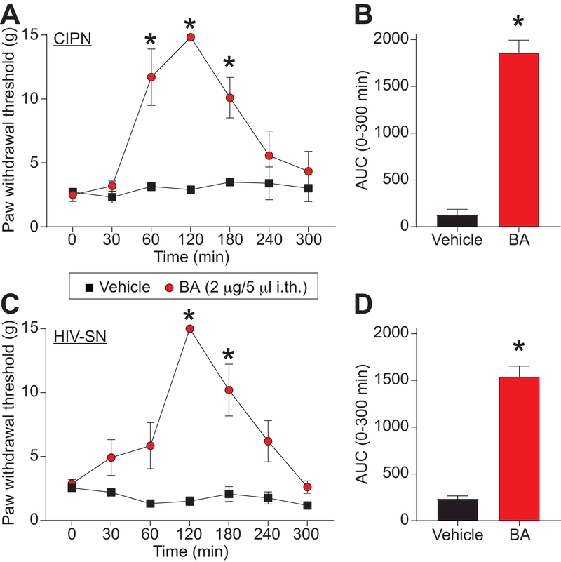 Figure 11.